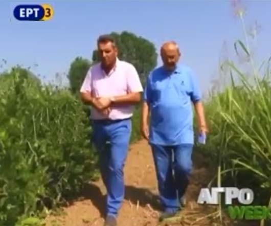 η ΕΡΤ στα φυτώρια κωνσταντινίδη